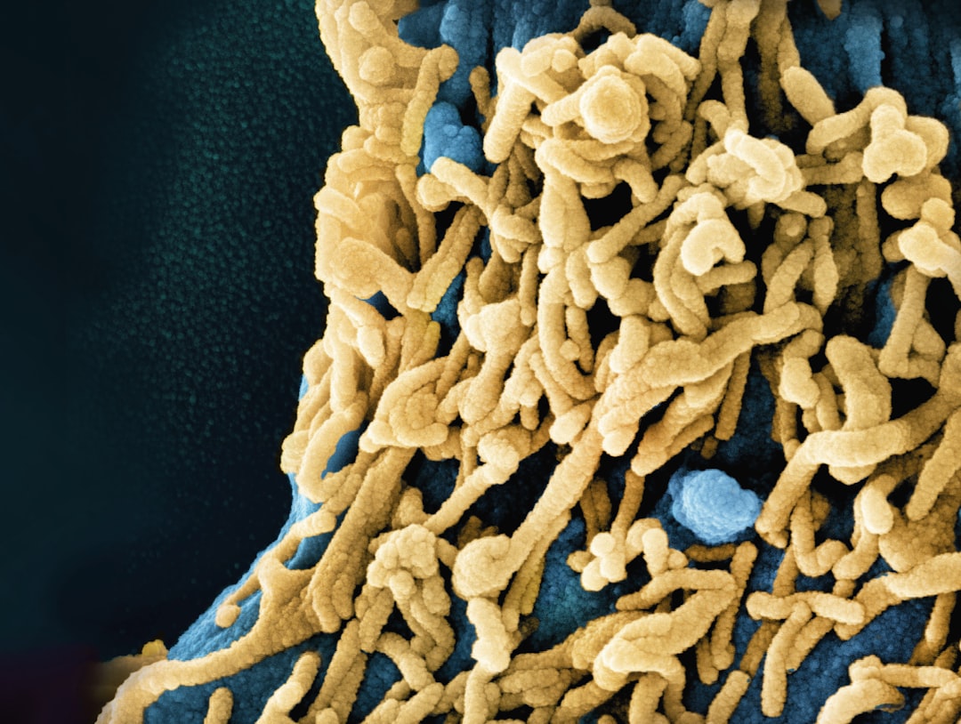 Understanding the Symptoms of Common Diseases